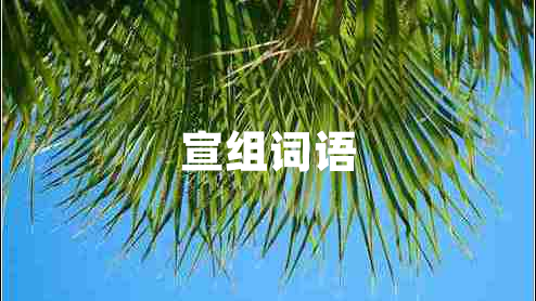 宣組詞語(yǔ)