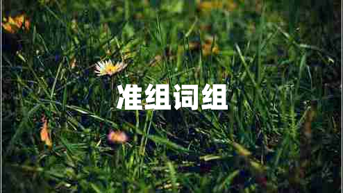 準(zhǔn)組詞組 準(zhǔn)組詞組