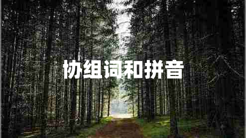 協(xié)組詞和拼音