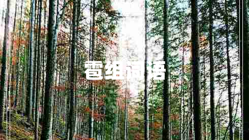 雹組詞語 雹組詞語