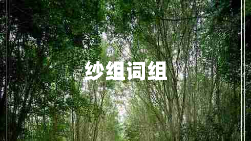 紗組詞組 紗組詞組