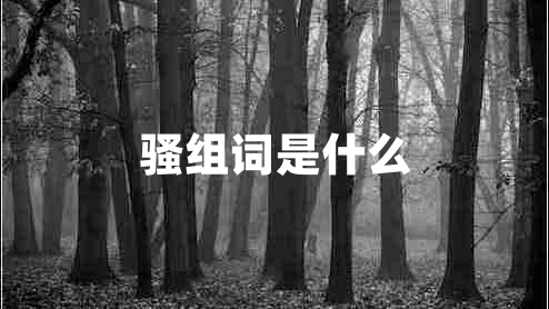 騷組詞是什么