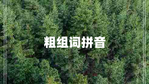 粗組詞拼音 粗組詞拼音