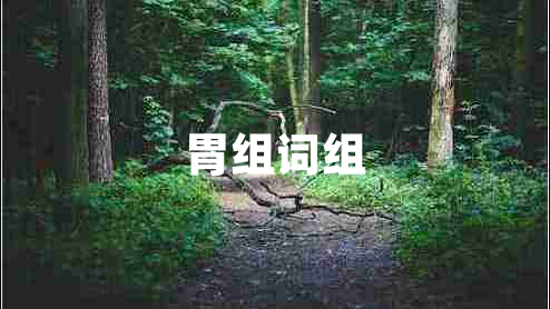 胃組詞組 胃組詞組