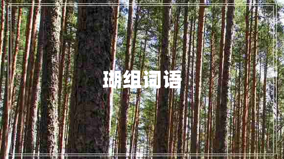 瑚組詞語 瑚組詞語