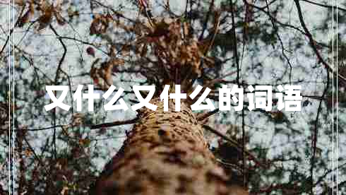 又什么又什么的詞語(yǔ)