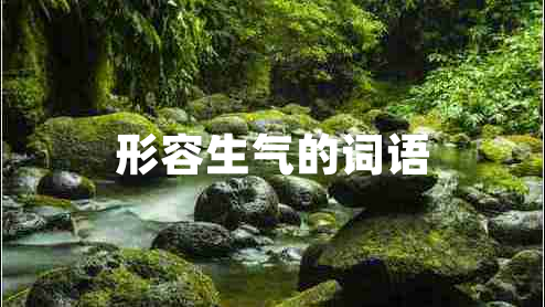 形容生氣的詞語