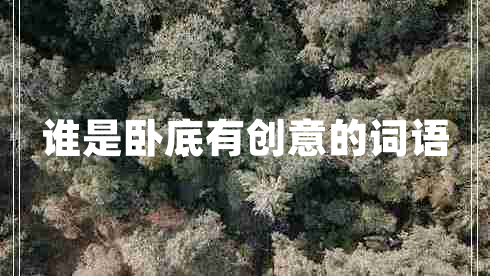 誰(shuí)是臥底有創(chuàng)意的詞語(yǔ) 誰(shuí)是臥底有創(chuàng)意的詞語(yǔ)