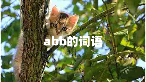 abb的詞語