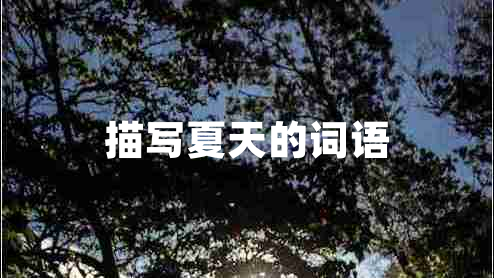 描寫夏天的詞語 描寫夏天的詞語