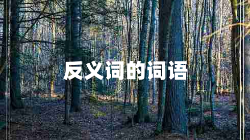反義詞的詞語