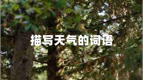 描寫天氣的詞語