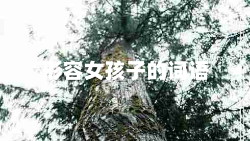 形容女孩子的詞語
