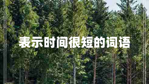 表示時間很短的詞語 表示時間很短的詞語