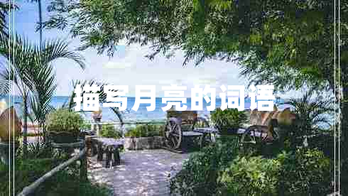 描寫月亮的詞語