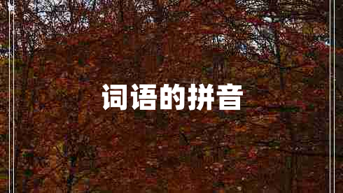 詞語(yǔ)的拼音