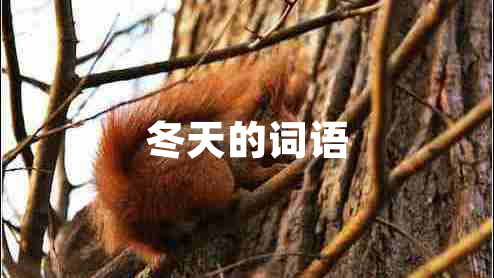 冬天的詞語