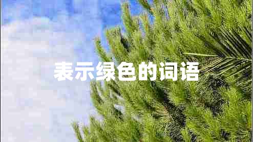 表示綠色的詞語(yǔ) 表示綠色的詞語(yǔ)