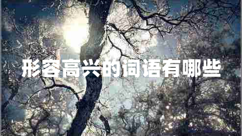 形容高興的詞語有哪些 形容高興的詞語有哪些