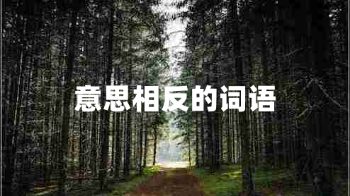 意思相反的詞語