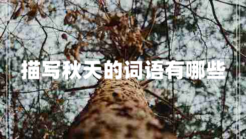 描寫秋天的詞語有哪些