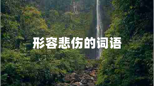 形容悲傷的詞語(yǔ)