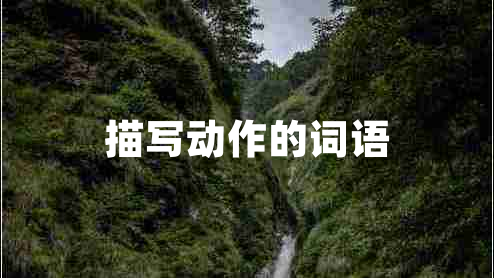 描寫動(dòng)作的詞語