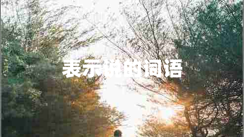 表示說的詞語