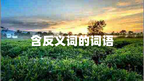 含反義詞的詞語