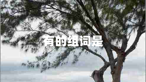 有的組詞是