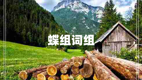 蝶組詞組 蝶組詞組