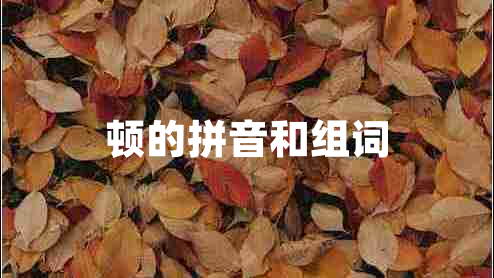 頓的拼音和組詞