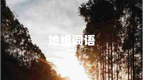 她組詞語 她組詞語