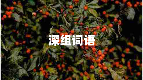 深組詞語(yǔ)