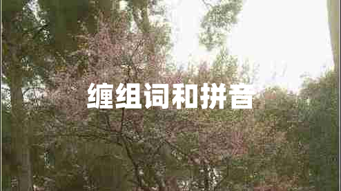 纏組詞和拼音