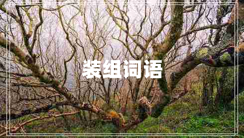 裝組詞語(yǔ)