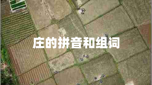 莊的拼音和組詞