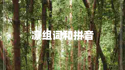 凜組詞和拼音
