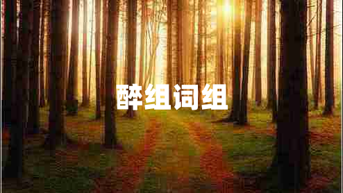 醉組詞組 醉組詞組