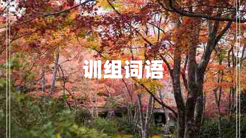 訓(xùn)組詞語(yǔ)