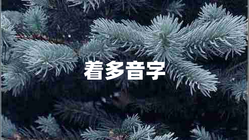 著多音字 著多音字