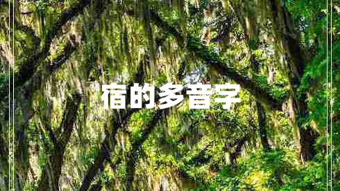 宿的多音字 宿的多音字