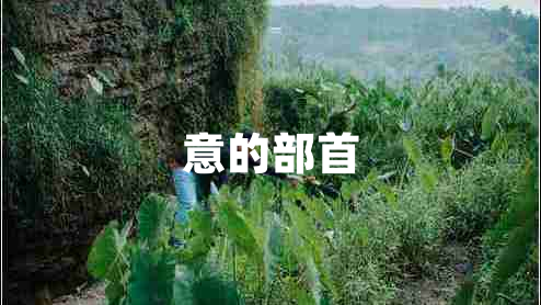 意的部首 意的部首