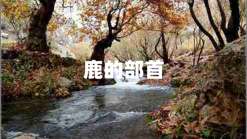 鹿的部首 鹿的部首