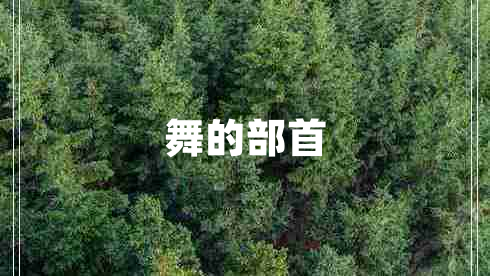 舞的部首 舞的部首