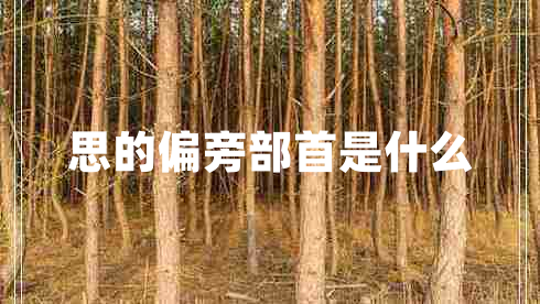 思的偏旁部首是什么 思的偏旁部首是什么