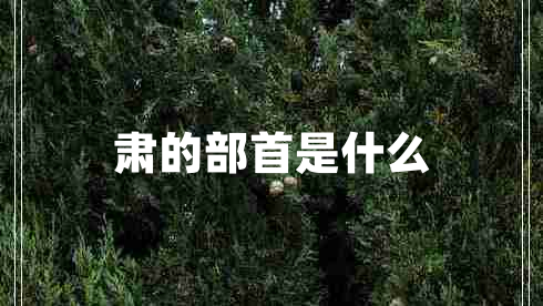 肅的部首是什么 肅的部首是什么