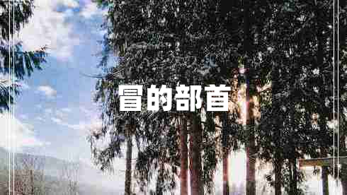 冒的部首 冒的部首