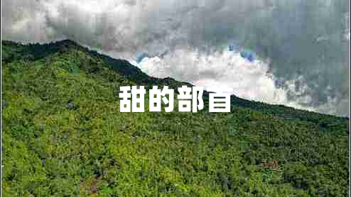 甜的部首 甜的部首