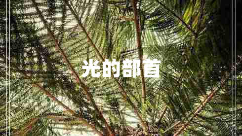 光的部首 光的部首